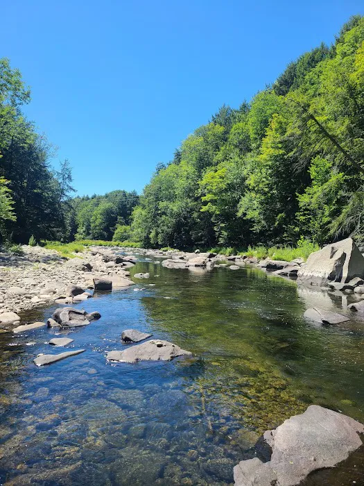 Beaverkill Campground Picture 4