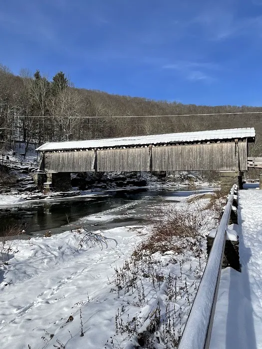 Beaverkill Campground Picture 1