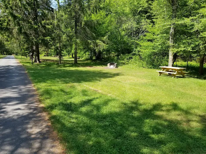 Beaverkill Campground Picture 8
