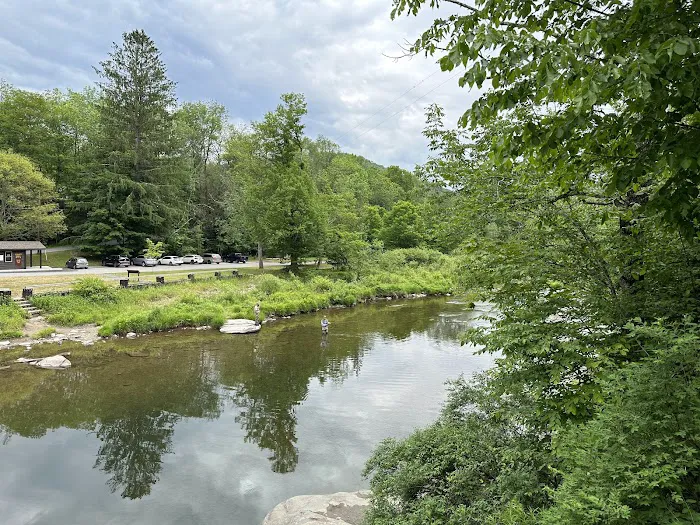 Beaverkill Campground Picture 9