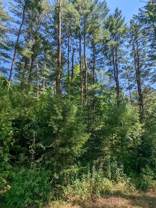 Beaverkill Campground Picture 10