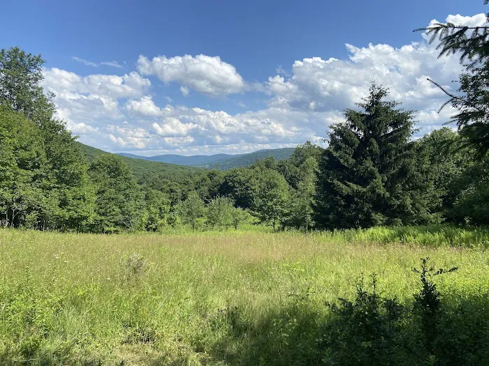 Little Pond Campground Picture 8