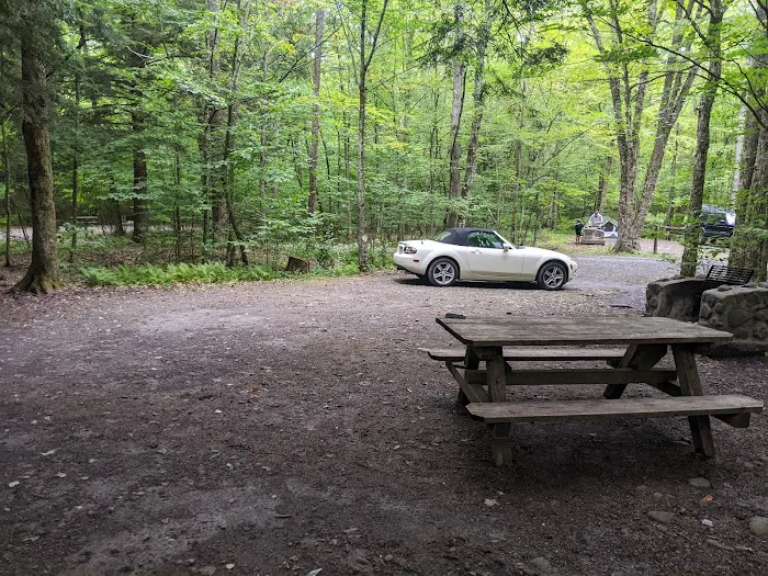 Little Pond Campground Picture 3