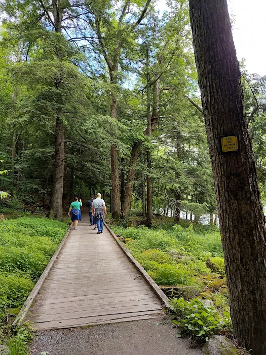 Little Pond Campground Picture 9