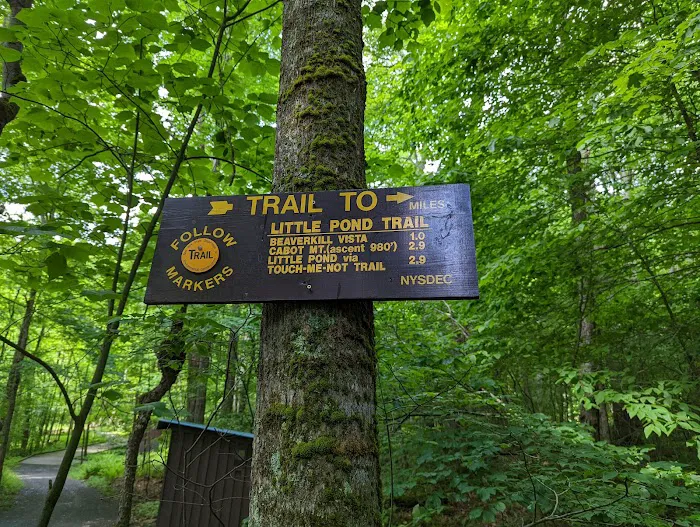 Little Pond Campground Picture 6