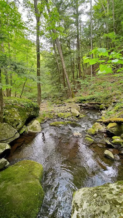 Little Pond Campground Picture 1