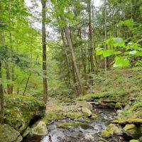 Little Pond Campground ico