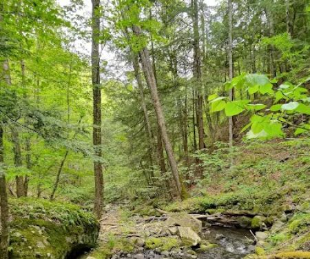 Little Pond Campground