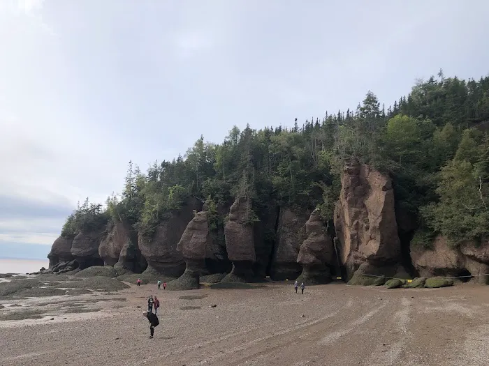 Ponderosa Pines Family Campground Picture 6