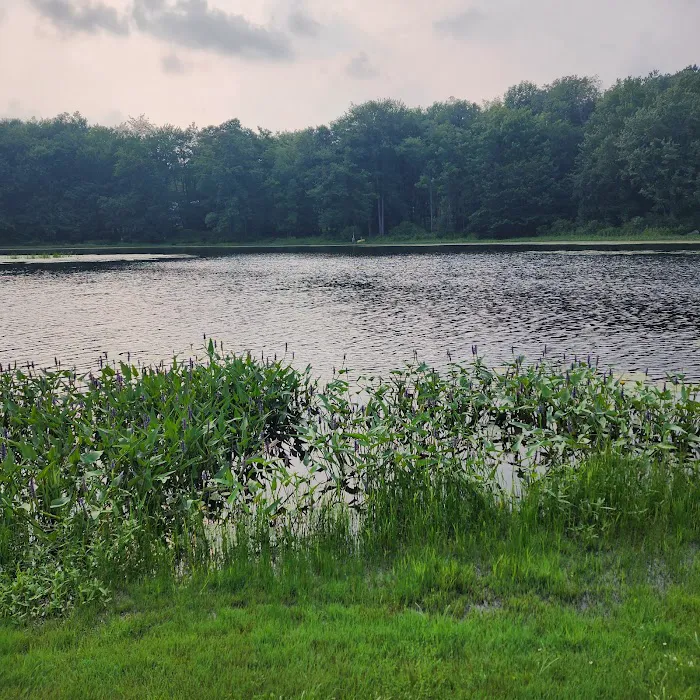 Ponderosa Pines Family Campground Picture 9