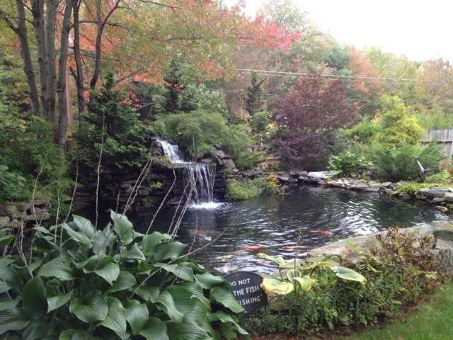 Three Pines Campground Picture 2