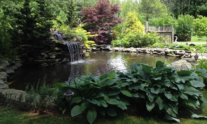 Three Pines Campground Picture 3