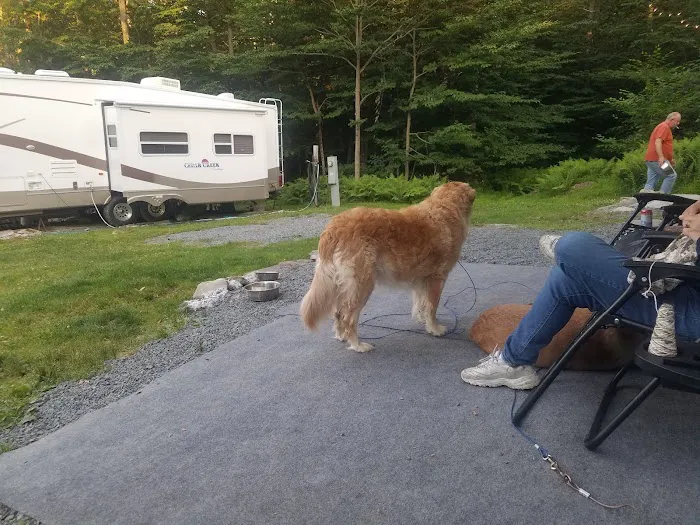 Secluded Acres Campground Picture 6