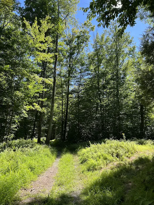 Secluded Acres Campground Picture 9