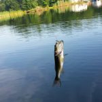 Secluded Acres Campground