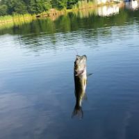 Secluded Acres Campground ico