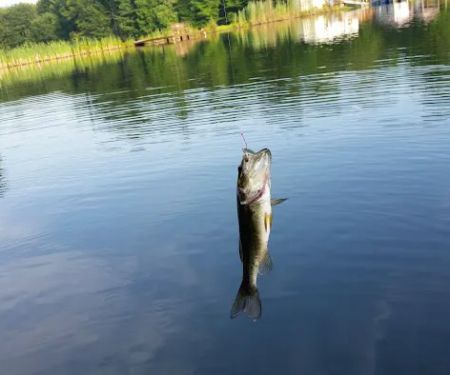 Secluded Acres Campground