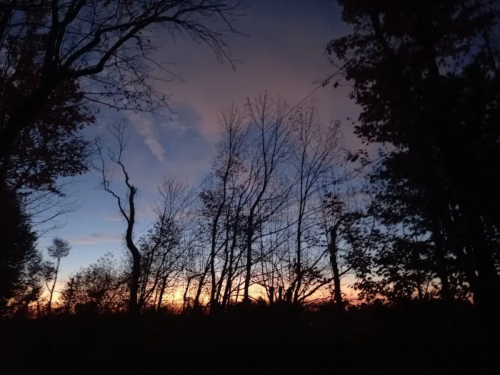 Cherry Ridge Campsites & Lodging, Inc. Picture 3