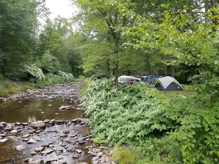 Soaring Eagle Camp Ground Picture 6