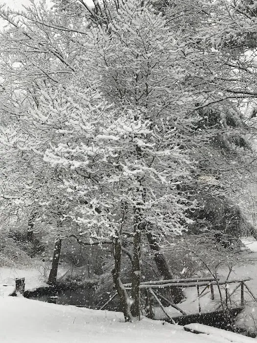 Dutchessby Falls Picture 1