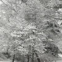 Dutchessby Falls ico