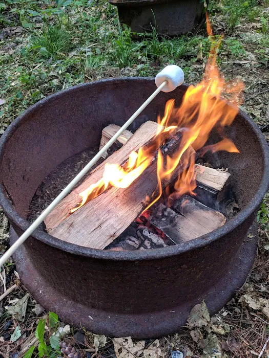 Blue Mountain Campground Picture 5