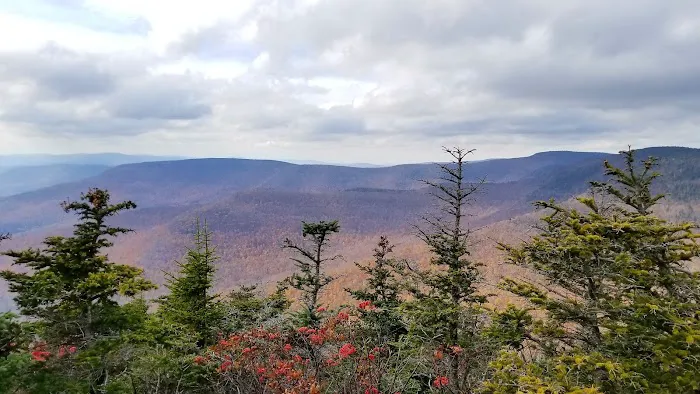 Devils Path Trail. Camp Area Picture 4