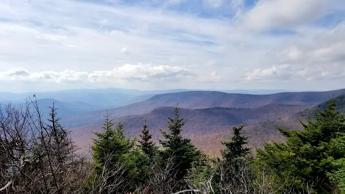 Devils Path Trail. Camp Area Picture 1
