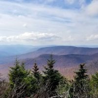 Devils Path Trail. Camp Area ico