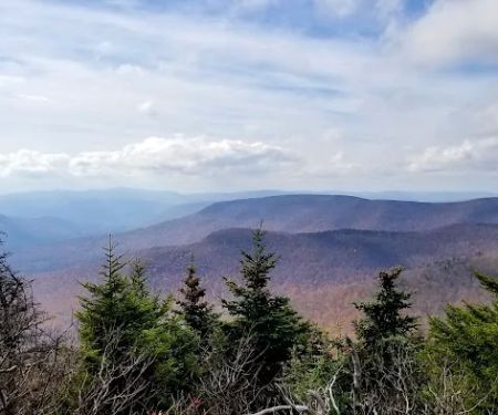 Devils Path Trail. Camp Area