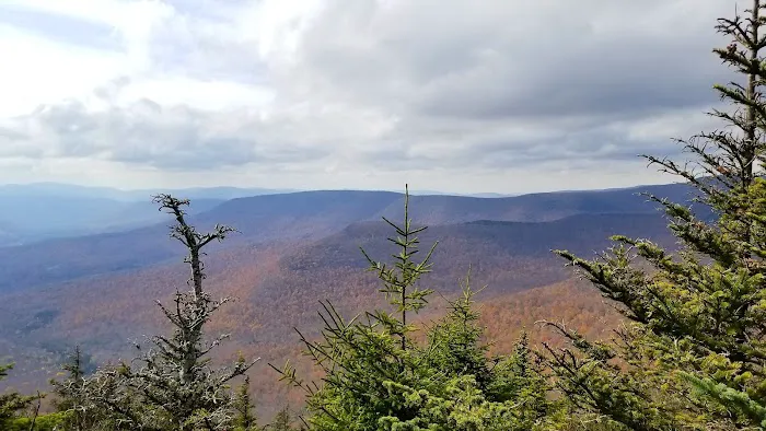 Devils Path Trail. Camp Area Picture 2