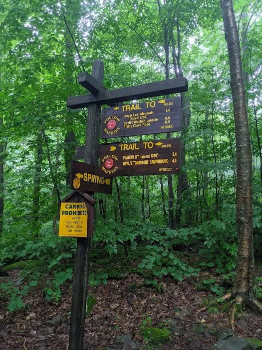 Devils Path Trail. Camp Area Picture 6