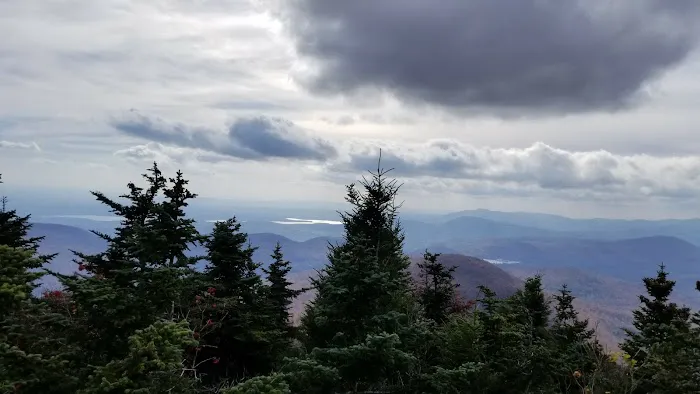 Devils Path Trail. Camp Area Picture 3