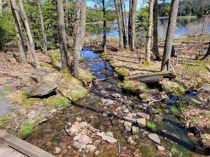 North/South Lake Campground Picture 10