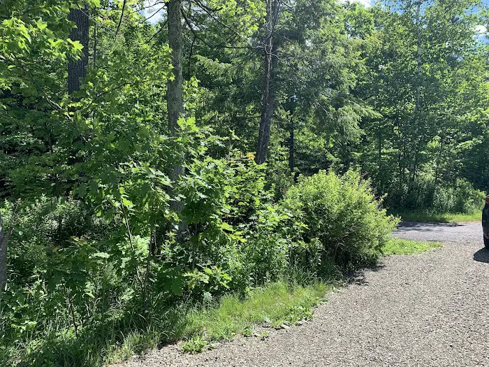 North/South Lake Campground - Campsite #145 Picture 9