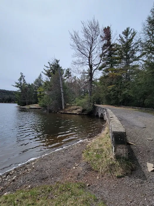 North/South Lake Campground - Campsite #145 Picture 10