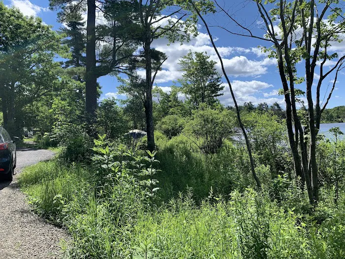 North/South Lake Campground - Campsite #145 Picture 8