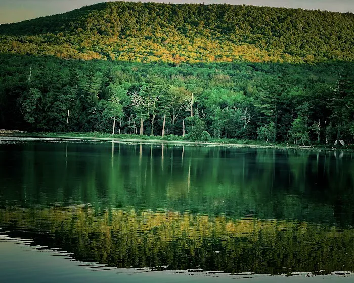 North/South Lake Campground - Campsite #145 Picture 7