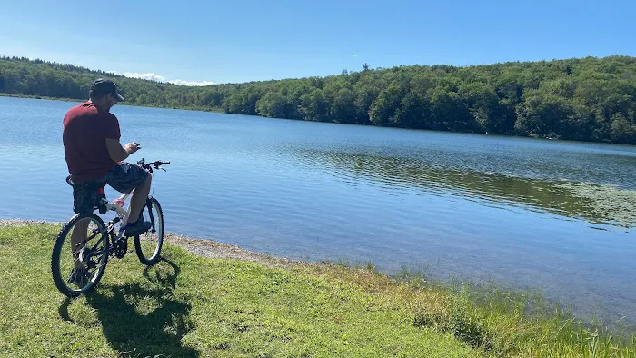 Lake Taghkanic State Park Campground Picture 7