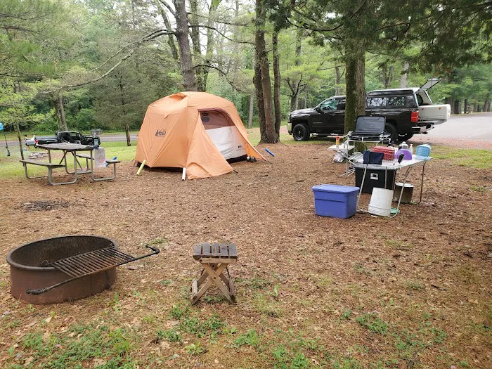 Lake Taghkanic State Park Campground Picture 3