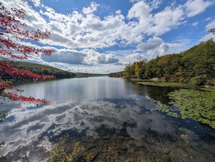 Lake Taghkanic State Park Campground Picture 1