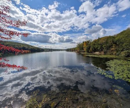 Lake Taghkanic State Park Campground