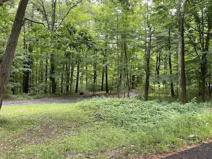 Lake Taghkanic State Park Campground Picture 5
