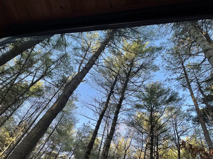 Getaway Eastern Catskills Campground - Castle Road Picture 6