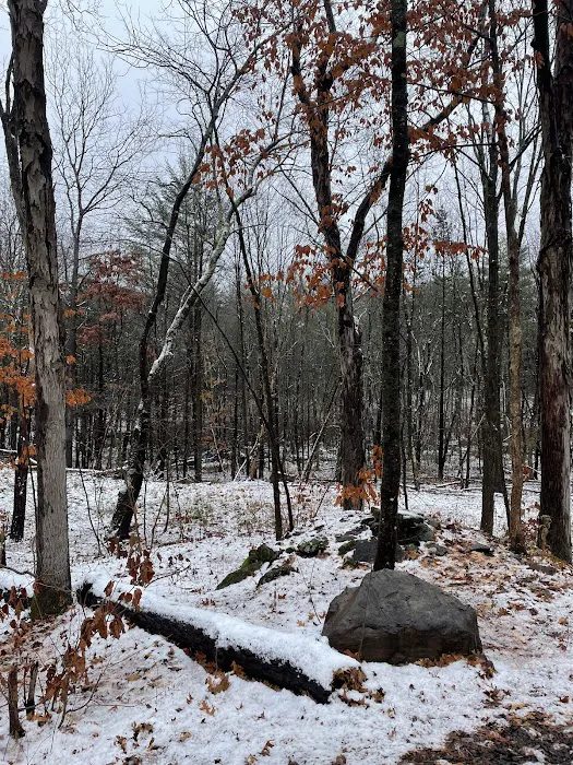 Getaway Eastern Catskills Campground - Castle Road Picture 7