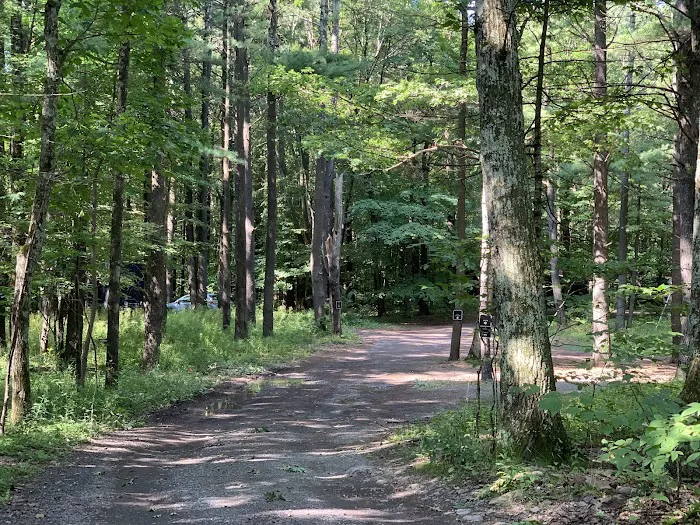 Getaway Eastern Catskills Campground - Castle Road Picture 10