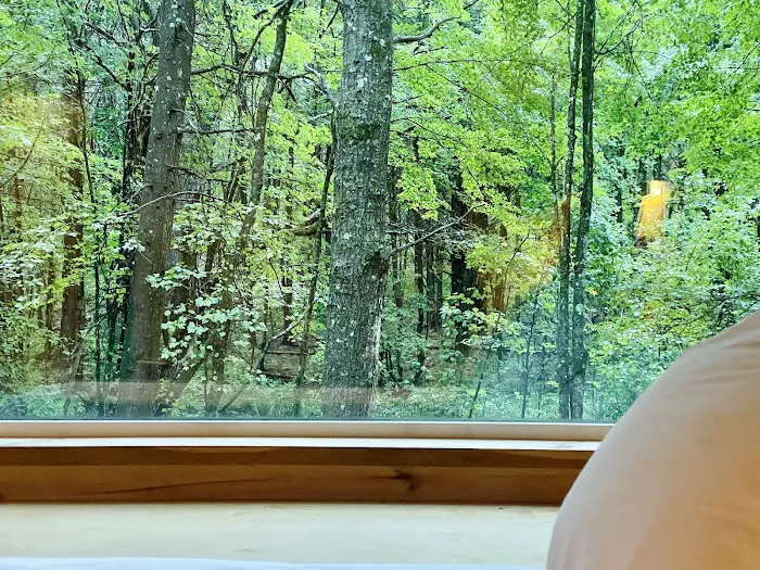 Getaway Eastern Catskills Campground - Castle Road Picture 8