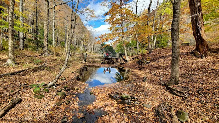 Devils Tombstone Campground Picture 2