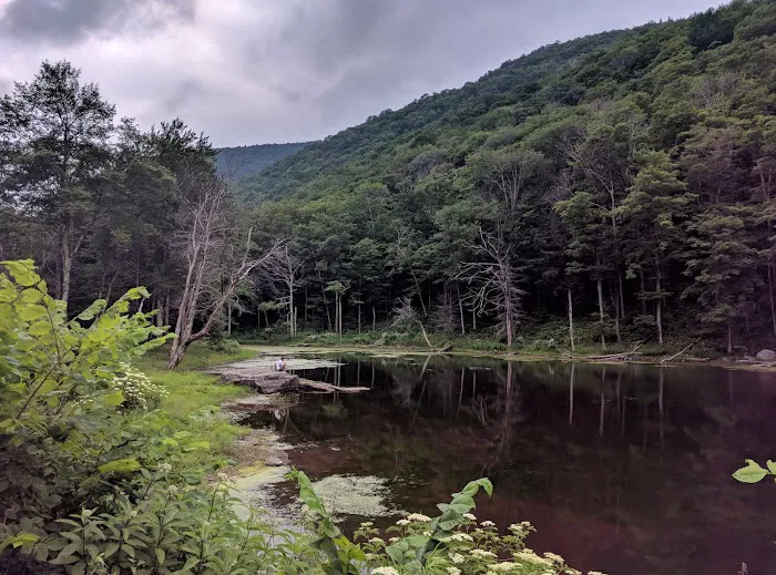 Devils Tombstone Campground Picture 5