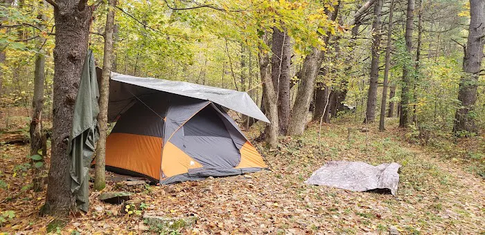 Allaben Campground Picture 8